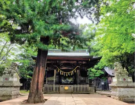 碑文谷八幡宮