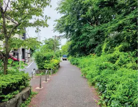 呑川緑道