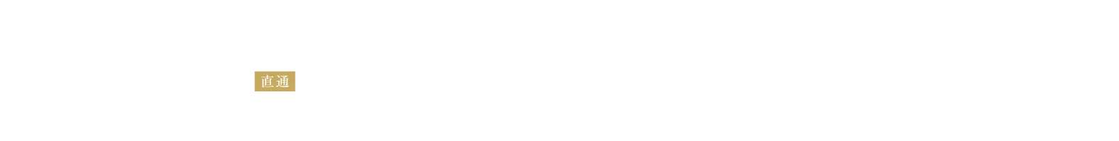 TRAIN ACCESS