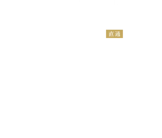 TRAIN ACCESS