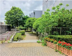 蛇崩川緑道