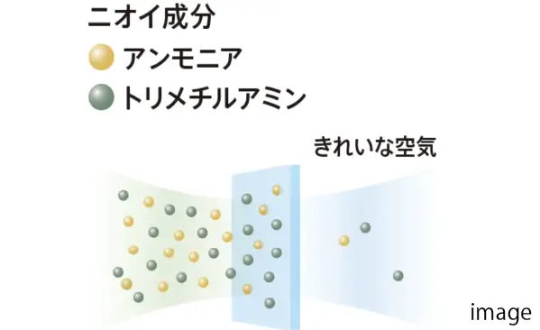 においきれい